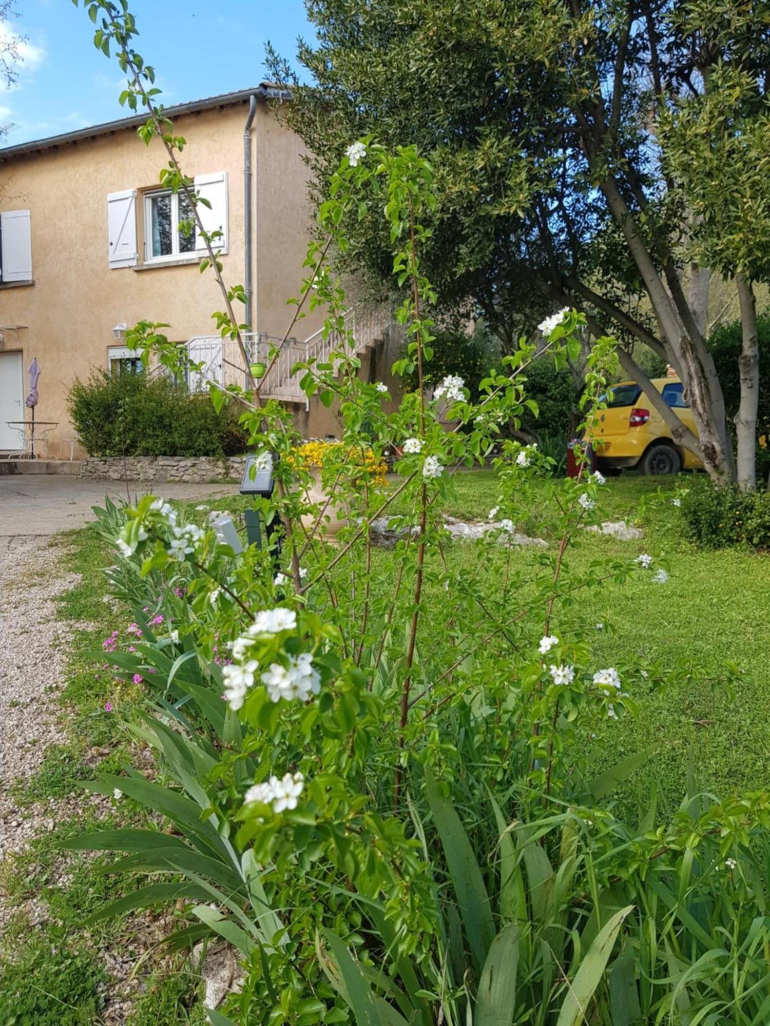 Cap Au Sud Sweet Home Nîmes Exterior foto