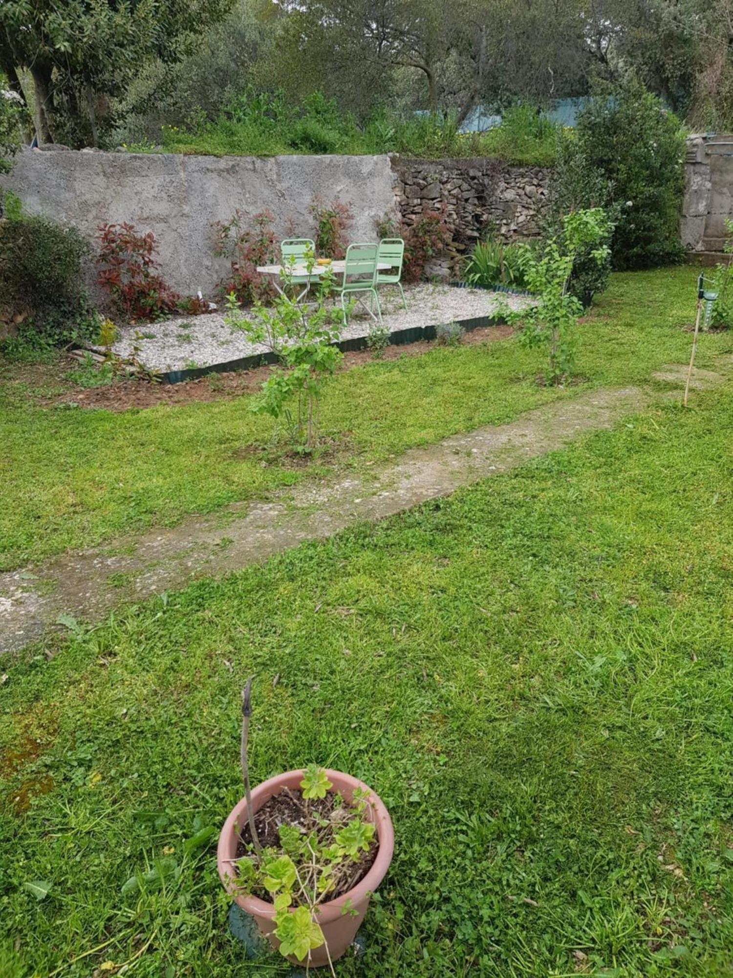 Cap Au Sud Sweet Home Nîmes Exterior foto